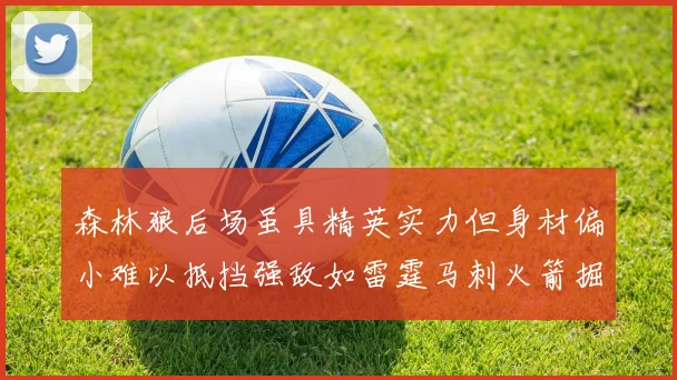 森林狼后场虽具精英实力但身材偏小难以抵挡强敌如雷霆马刺火箭掘金