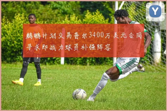 鹈鹕计划交易普尔3400万美元合同寻求即战力球员补强阵容